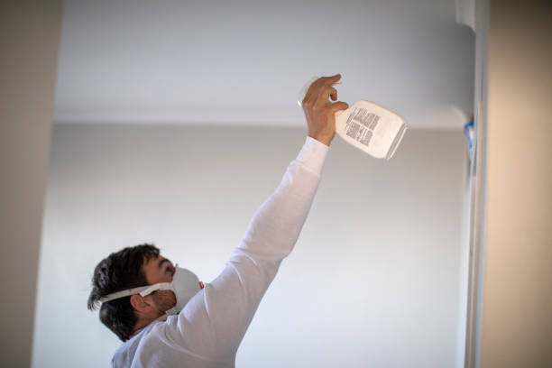 Best Mold Cleaning Services  in Kayak Point, WA