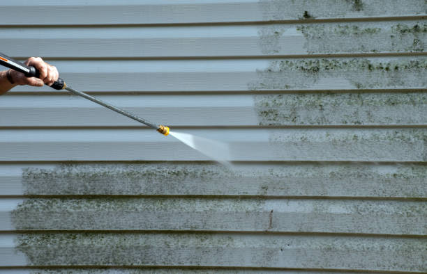 Best Mold Cleaning Services  in Kayak Point, WA