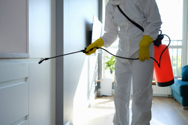 Best Mold Removal Process  in Kayak Point, WA