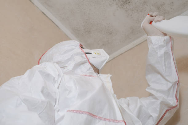Best Water Damage Restoration  in Kayak Point, WA