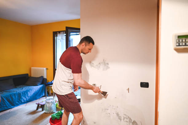 Best Office Mold Removal Services  in Kayak Point, WA